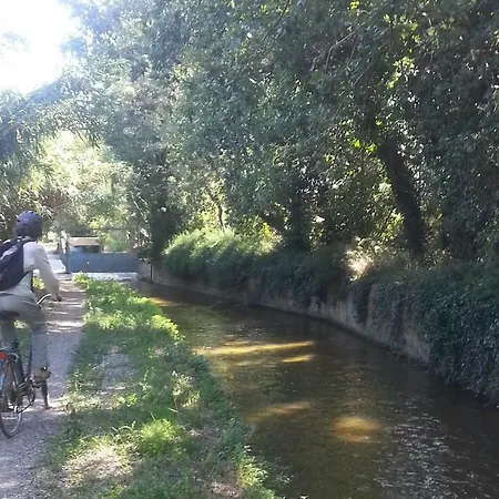 Gite Du Mas Arnaud Thuir Exterior foto